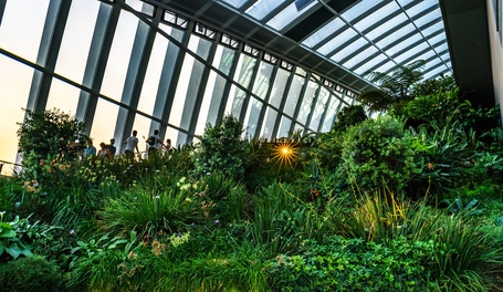Sky Garden in London mit exotischen Pflanzen